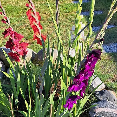 Appartement Max Ückeritz